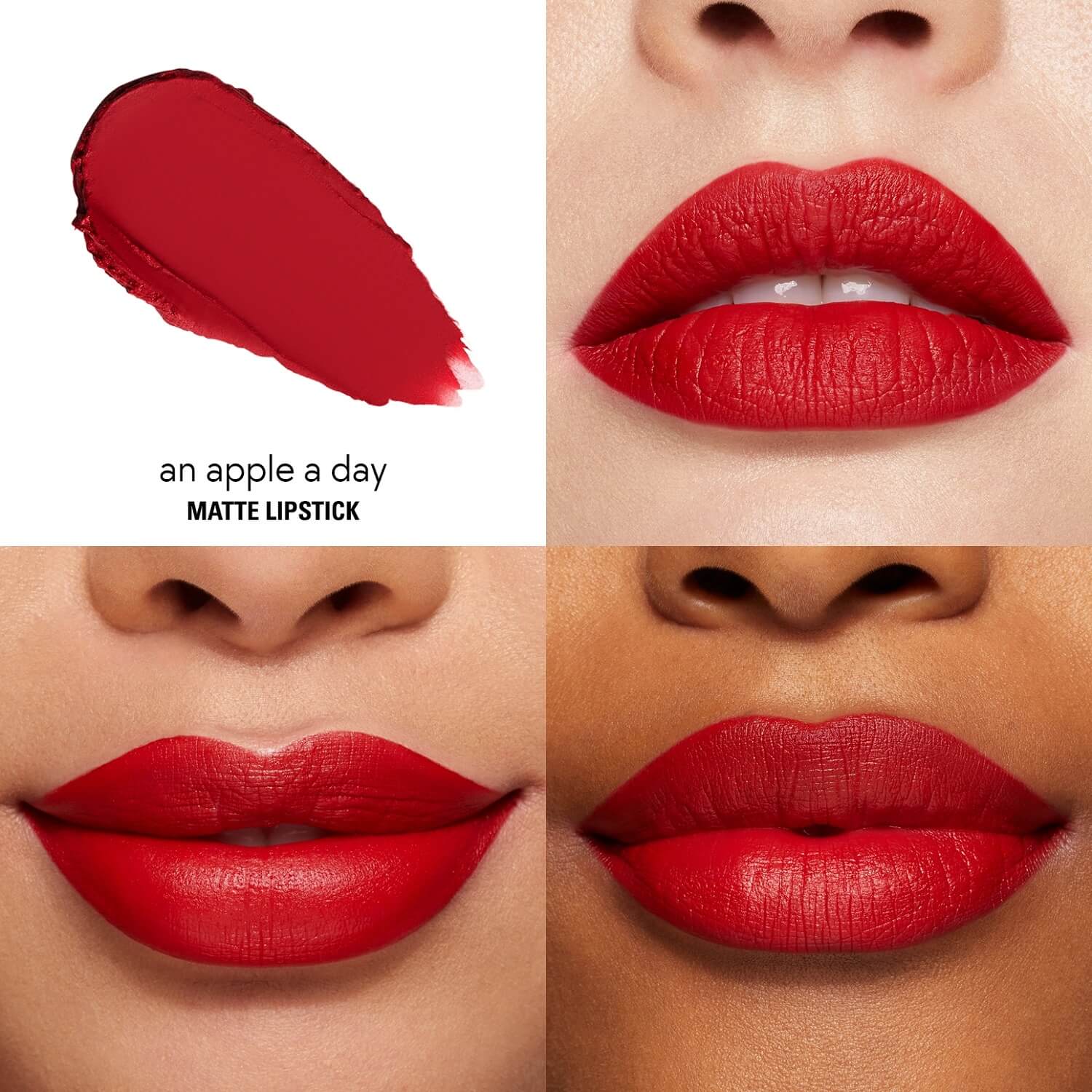 MATTE LIPSTICK (LABIAL MATTE EN BARRA)